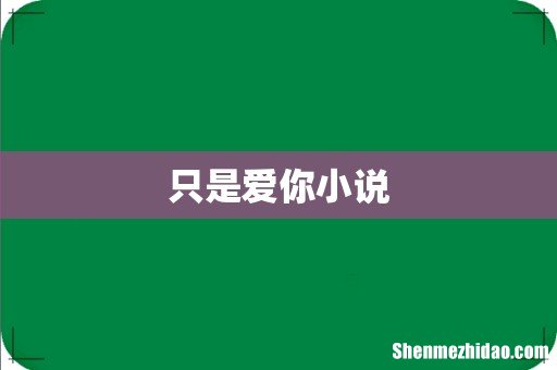 只是爱你小说