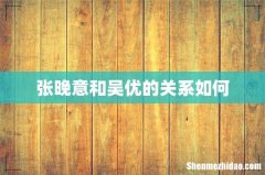 张晚意和吴优的关系如何
