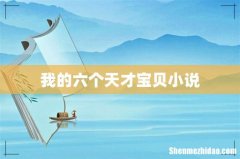 我的六个天才宝贝小说