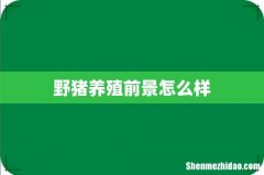 野猪养殖前景怎么样