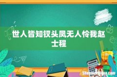 世人皆知钗头凤无人怜我赵士程