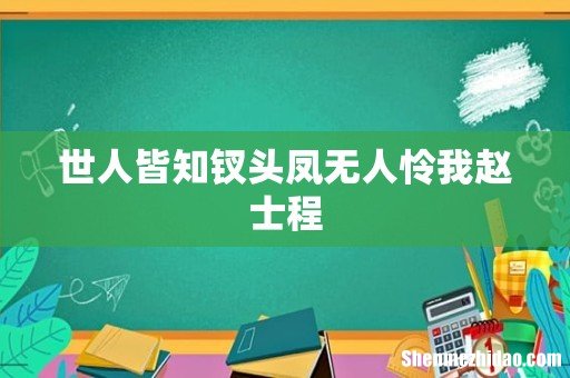 世人皆知钗头凤无人怜我赵士程