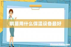 鹅苗用什么保温设备最好