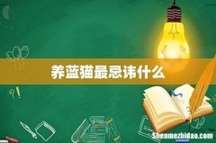 养蓝猫最忌讳什么
