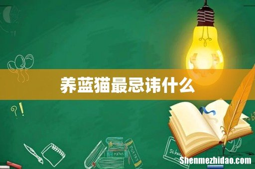 养蓝猫最忌讳什么