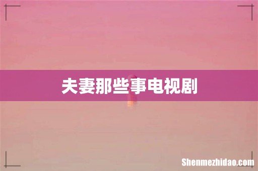 夫妻那些事电视剧