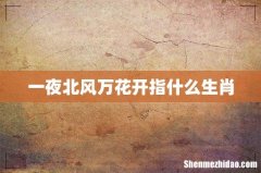 一夜北风万花开指什么生肖