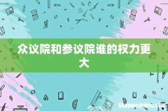 众议院和参议院谁的权力更大