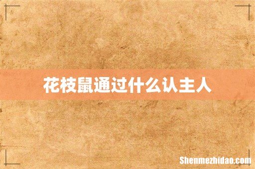 花枝鼠通过什么认主人