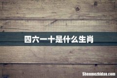 四六一十是什么生肖