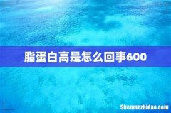 脂蛋白高是怎么回事600