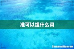 准可以组什么词