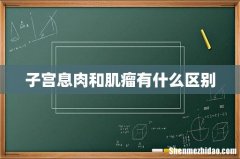 子宫息肉和肌瘤有什么区别