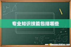 专业知识技能包括哪些