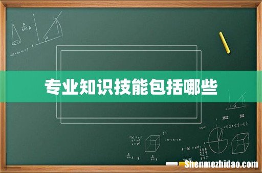 专业知识技能包括哪些