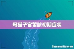 母猫子宫蓄脓初期症状
