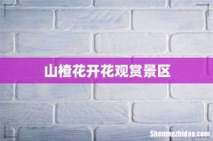 山楂花开花观赏景区