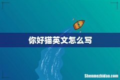 你好猫英文怎么写