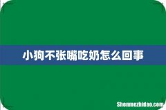 小狗不张嘴吃奶怎么回事
