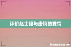 评价赵士程与唐婉的爱情