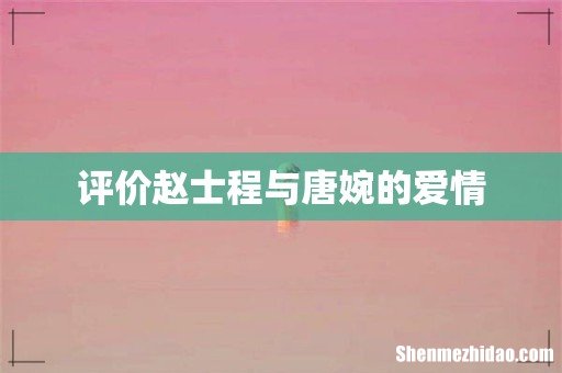 评价赵士程与唐婉的爱情