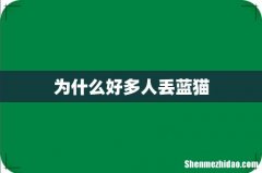 为什么好多人丢蓝猫