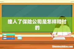 撞人了保险公司是怎样赔付的