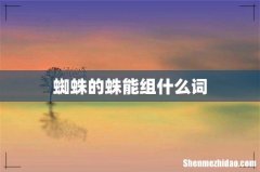 蜘蛛的蛛能组什么词