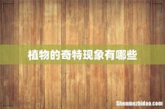 植物的奇特现象有哪些
