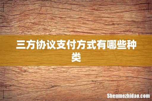 三方协议支付方式有哪些种类