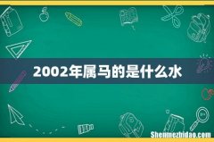 2002年属马的是什么水