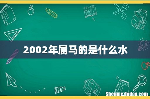 2002年属马的是什么水
