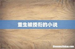 重生被授衔的小说