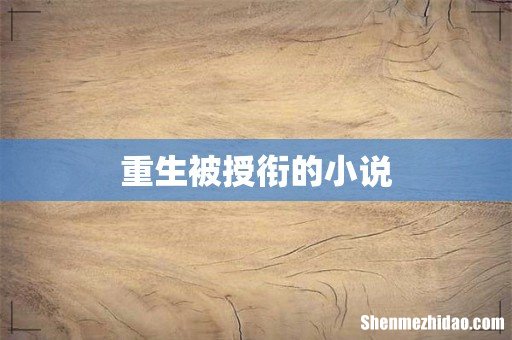 重生被授衔的小说