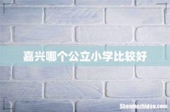嘉兴哪个公立小学比较好