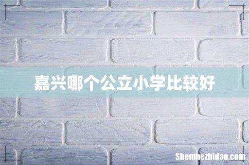 嘉兴哪个公立小学比较好