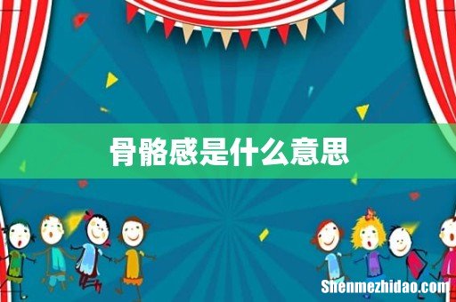 骨骼感是什么意思