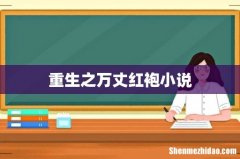 重生之万丈红袍小说