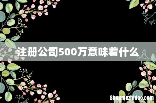 注册公司500万意味着什么