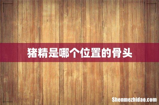 猪精是哪个位置的骨头