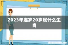 2023年虚岁20岁属什么生肖