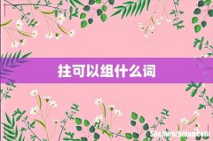 拄可以组什么词