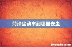 菏泽坐动车到哪里去坐