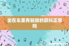 坐在车里有轻微的颤抖正常吗