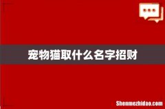 宠物猫取什么名字招财