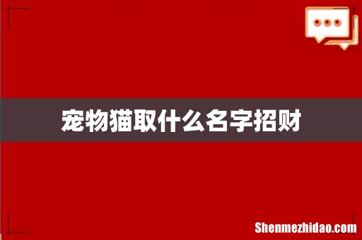 宠物猫取什么名字招财