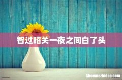 智过昭关一夜之间白了头