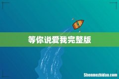 等你说爱我完整版