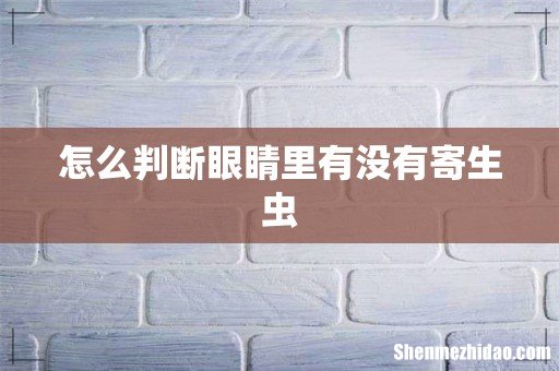 怎么判断眼睛里有没有寄生虫