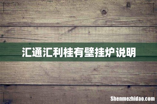 汇通汇利桂有壁挂炉说明